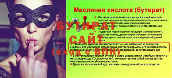 шишки Осташков