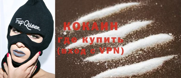 шишки Осташков