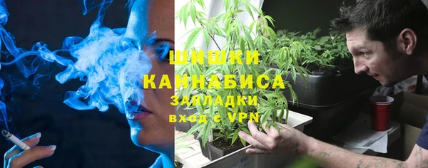 шишки Осташков