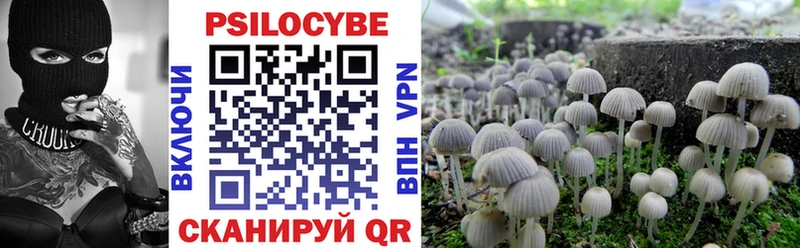 Галлюциногенные грибы Cubensis  MEGA ССЫЛКА  Нефтегорск  наркошоп 
